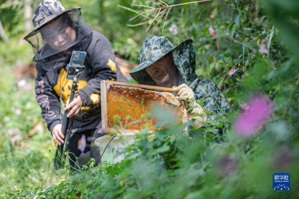 十三人葫芦鱼可以破解吗